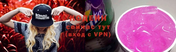 сатива Надым