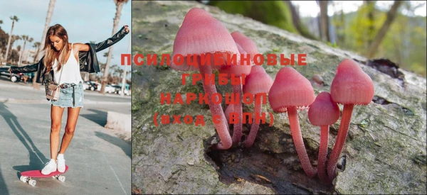 сатива Надым
