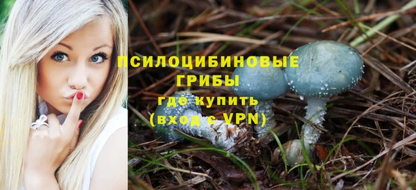 сатива Надым