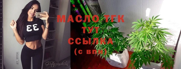 сатива Надым